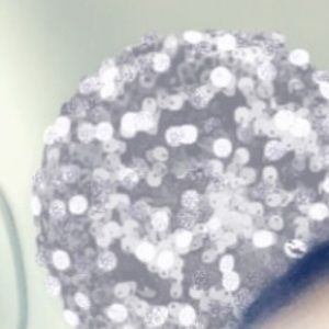 Meet your Posher, Leticia